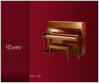 Đàn Piano Brandnew Essex EUP-123E